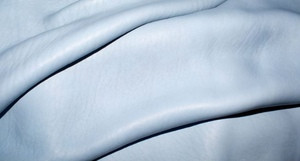 Wet blue Goat Skin